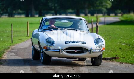 Schöner E-Type Jag auf dem Weg nach Hampton Court zum Concours of Elegance 2021 Stockfoto