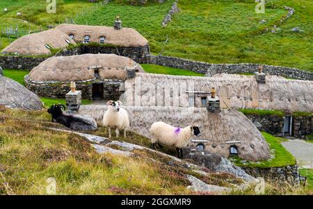 Gearrannan Blackhouse Village in Garenin auf der Isle of Lewis , Äußere Hebriden, Schottland, Großbritannien Stockfoto