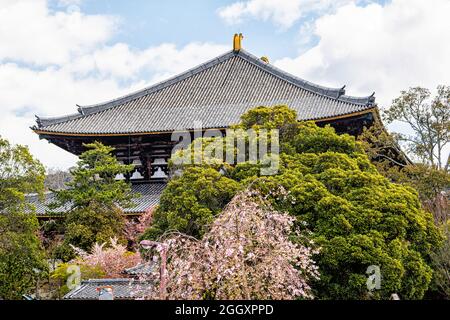 Nara, Japan Todaiji Tempel in der Stadt tagsüber mit Blick auf Pagoden Turm Dachziegel und Kirschblüten Baumblumen und Himmel Stockfoto