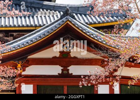 Todaiji Tempel in Nara, Japan Stadt im Frühjahr mit Kirschblüten Sakura Blumen umrahmt Architektur Pagode Dachziegel und rote Farbe Stockfoto