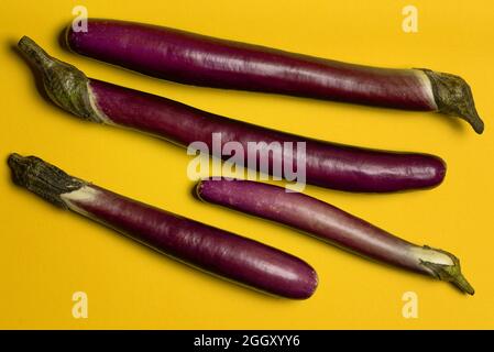 Lange lila Aubergine Gemüse bekannt als Aubergine geschnitten auf orangenen Hintergrund Draufsicht Stockfoto