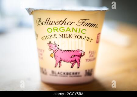 Herndon, USA - 25. März 2021: Nahaufnahme von Bellwether Farms Verpacken Sie Behälter mit Bio-Vollmilch-Joghurt mit Brombeeraroma auf Holztisch Stockfoto