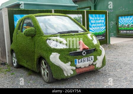 Auto in Easigrass Kunstrasen bedeckt, für die Werbung für die Kunststoff-Gras-Produkt, Großbritannien Stockfoto