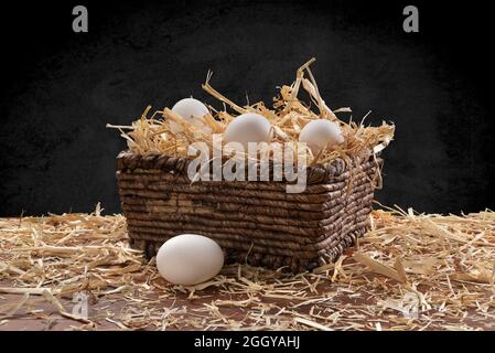 Ein kleiner Korbkorb aus frisch gesammeltem Ei mit Heu auf einem Teakholz-Tisch, eingerahmt von einem dezenten schwarzen, melierten Hintergrund. Stockfoto