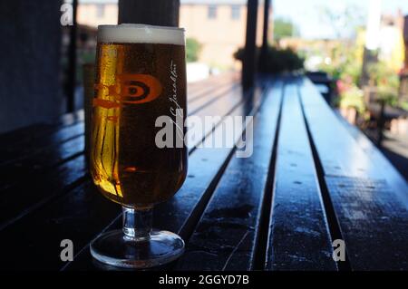 Ein Pint Carlsberg Bier auf einer Holzplatte mit weichem Hintergrund im Freien Stockfoto