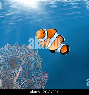 Aquarell Clown Fisch auf dem Hintergrund des Meeres und Korallen Stockfoto