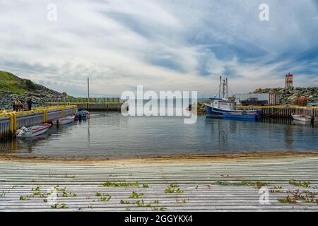 Blick auf Bauline Harbour, Neufundland, ein kleines Fischerdorf mit einem geschützten Hafen, der von kleinen Fischerbooten umgeben ist. Stockfoto