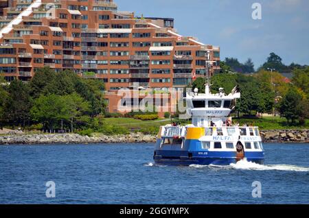 Halifax Transit Fähre 'Rita Joe' auf dem Weg nach Dartmouth im Hafen von Halifax Stockfoto