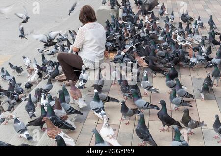 Frau, die inmitten von Tauben sitzt und ihnen Nahrung gibt. Stockfoto