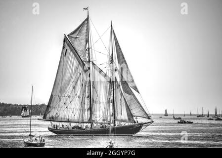 Halifax, Nova Scotia, Kanada - 1. August 2017: Die kultige Bluenose II während der Tall Ships Parade of Sail im Hafen von Halifax. Stockfoto