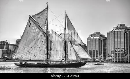 Halifax, Nova Scotia, Kanada - 1. August 2017: Die ikonische Bluenose II, die vor der Skyline von Halifax jahrelang restauriert wurde Stockfoto