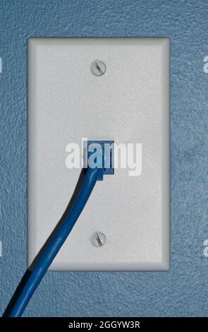 Blaues Cat 5-Kabel, das an eine Wandsteckdose für ein Festnetztelefon angeschlossen ist. Stockfoto