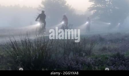 Bispingen, Deutschland. August 2021. Eine Gruppe fährt morgens E-Bikes durch die Lüneburger Heide. Die Fotografin Poliza bietet in den Morgenstunden bei Sonnenaufgang geführte E-Bike-Touren durch die Lüneburger Heide an. Quelle: Philipp Schulze/dpa/Alamy Live News Stockfoto