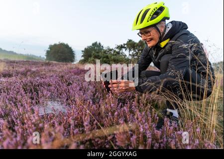 Bispingen, Deutschland. August 2021. Petra Boschert, Teilnehmerin einer E-Bike-Safari, fotografiert in der Lüneburger Heide. Die Fotografin Poliza bietet in den Morgenstunden bei Sonnenaufgang geführte E-Bike-Touren durch die Lüneburger Heide an. Quelle: Philipp Schulze/dpa/Alamy Live News Stockfoto