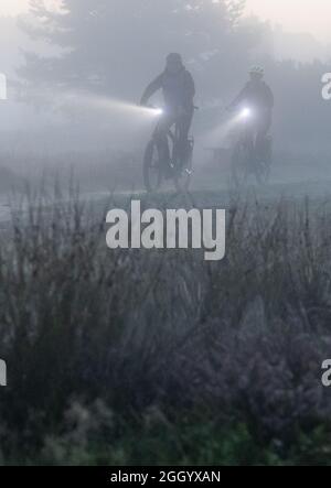 Bispingen, Deutschland. August 2021. Eine Gruppe fährt morgens E-Bikes durch die Lüneburger Heide. Die Fotografin Poliza bietet in den Morgenstunden bei Sonnenaufgang geführte E-Bike-Touren durch die Lüneburger Heide an. Quelle: Philipp Schulze/dpa/Alamy Live News Stockfoto