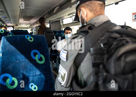 Ost-Jerusalem, Israel. September 2021. Bewaffnete israelische Streitkräfte Soldaten der Grenzkontrolleinheit, die die Beschränkungen des öffentlichen Verkehrs Covid-19 in Ostjerusalem durchsetzen. Geldstrafen für diejenigen, die keine Maske tragen. Laut den Busfahrern ist dies in den letzten Wochen ein lockeres Ereignis in den palästinensischen Gebieten der Stadt. Palästina / Israel, Jerusalem. September 2021. Kredit: Matan Golan/Alamy Live Nachrichten Stockfoto