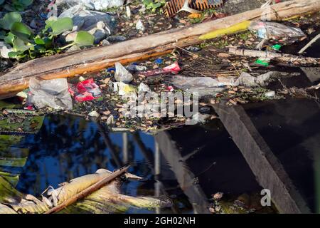 Verschmutzter Fluss mit verschiedenen Müll und Müll Stockfoto