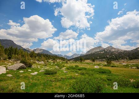 Grüne Berge Wiese und Teich in der Sommersaison Stockfoto