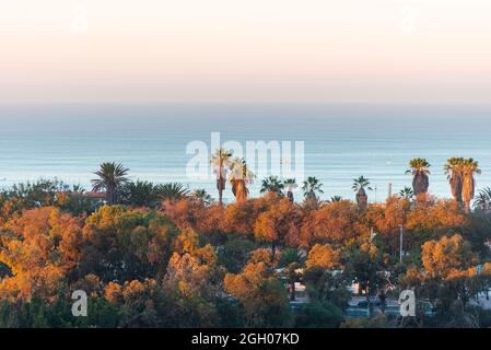 Sonnenaufgang in Agadir, Panoramablick auf den Atlantischen Ozean, Himmel, Palmen in der Morgenzeit in Agadir, Marokko Stockfoto