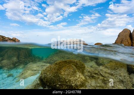 (Selektiver Fokus) Split-Shot, Over-Under-Shot, Halb in Halb Out. Kristallklares, türkisfarbenes Wasser im Vordergrund und Tavolara Island in der Ferne. Stockfoto