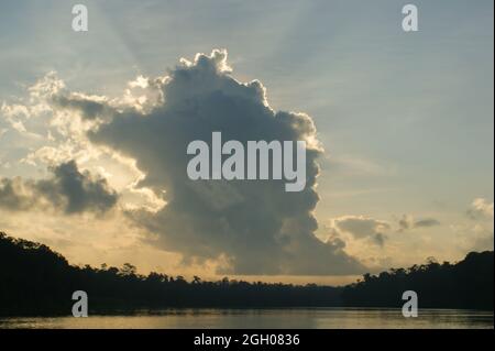 Am frühen Morgen Wolken im Morgengrauen über dem Kinabatangan Fluss, Sabah, Borneo Stockfoto