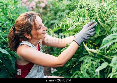 Die Farmerin mit den Handschuhen ist für die Pflanzen in ihrem Bio-Garten da. Sie ist auf den Knien auf dem Boden und pflückt die Früchte von den Bäumen. Natürliche und Stockfoto