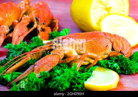 Rote und appetitlich gekochte Langusten in Nahaufnahme Stockfoto