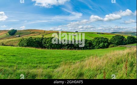 Weitblick auf die wunderschöne ländliche Landschaft in Yorkshire Dales in der Nähe von Hawes, North Yorkshire, Großbritannien Stockfoto