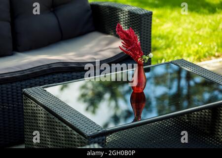 Sitzecke, Sofa, Couchtisch, rote Vase mit einer Blume. Hochwertige Fotos Stockfoto
