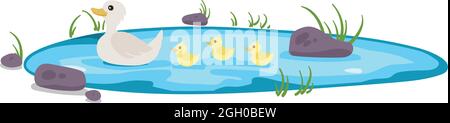 Isolierter Teich mit Enten und Entlein schwimmen. Steine und Kieselsteine mit Gras um den Wasserkörper. Stock Vektor