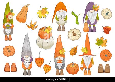 Herbstgnome und Kürbisse gesetzt. Vektorgrafik. Stock Vektor