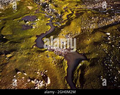 Luftpanorama des schönen Flusses am grünen Bergtal Draufsicht in Kasachstan. Stockfoto