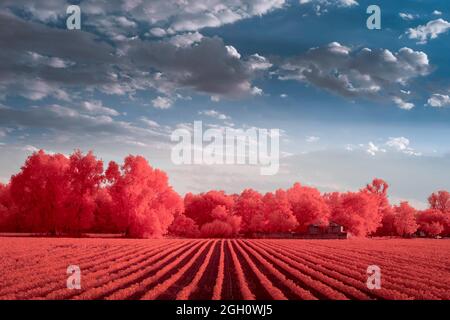 Infrarotlandschaft mit einem wunderschönen bewölkten Himmel Stockfoto