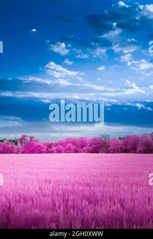 Infrarotlandschaft mit einem wunderschönen bewölkten Himmel Stockfoto