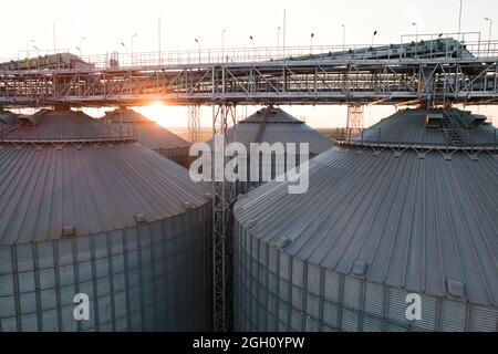 Getreideterminals des modernen Handelshafens. Silos zur Lagerung von Getreide in Strahlen untergehenden Sonnenlichtes, Draufsicht vom Quadcopter. Industrieller Hintergrund. Logist Stockfoto