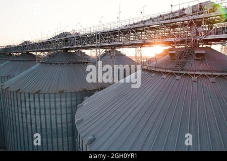 Getreideterminals des modernen Handelshafens. Silos zur Lagerung von Getreide in Strahlen untergehenden Sonnenlichtes, Draufsicht vom Quadcopter. Industrieller Hintergrund. Logist Stockfoto