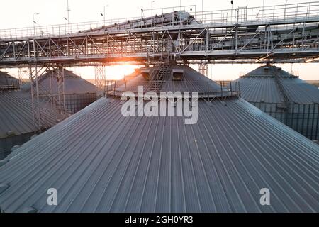 Getreideterminals des modernen Handelshafens. Silos zur Lagerung von Getreide in Strahlen untergehenden Sonnenlichtes, Draufsicht vom Quadcopter. Industrieller Hintergrund. Logist Stockfoto