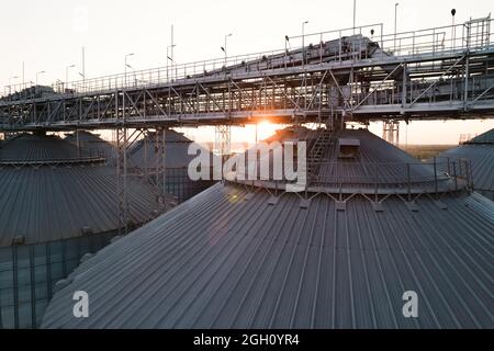 Getreideterminals des modernen Handelshafens. Silos zur Lagerung von Getreide in Strahlen untergehenden Sonnenlichtes, Draufsicht vom Quadcopter. Industrieller Hintergrund. Logist Stockfoto