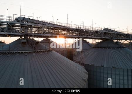 Getreideterminals des modernen Handelshafens. Silos zur Lagerung von Getreide in Strahlen untergehenden Sonnenlichtes, Draufsicht vom Quadcopter. Industrieller Hintergrund. Logist Stockfoto