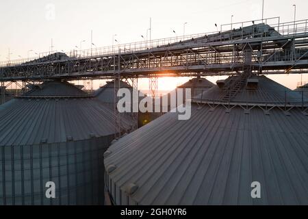 Getreideterminals des modernen Handelshafens. Silos zur Lagerung von Getreide in Strahlen untergehenden Sonnenlichtes, Draufsicht vom Quadcopter. Industrieller Hintergrund. Logist Stockfoto