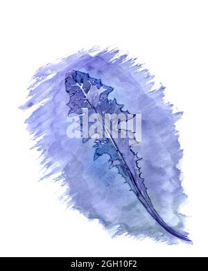 Dandelionsblatt auf violettem Hintergrund. Aquarell, Handgrafiken. Stockfoto