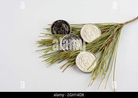 UAE 1 Dirham Münzen auf Kiefernnadeln isoliert auf weißem Hintergrund, Jahr Zayed 2018. Stockfoto