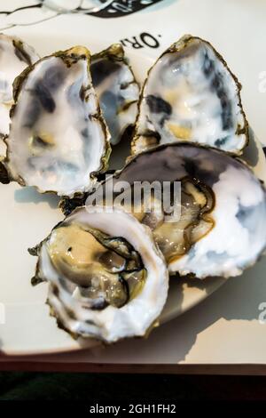 Austernplatte, Restaurant Orford Butley Oysterage, Orford, Suffolk, England Stockfoto