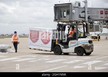 Phnom Penh, Kambodscha. September 2021. Ein Arbeiter transportiert den Sinovac-Impfstoff COVID-19 auf dem Internationalen Flughafen von Phnom Penh in Phnom Penh, Kambodscha, 4. September 2021. Kambodscha erhielt am Samstag zusätzliche 2.5 Millionen Dosen des chinesischen Sinovac-Impfstoffs gegen COVID-19, als das südostasiatische Land die Pandemie weiter bekämpfte. Quelle: Pearum/Xinhua/Alamy Live News Stockfoto