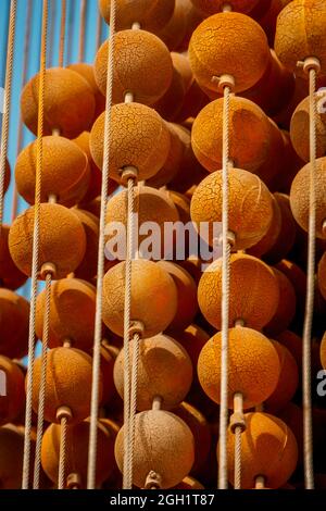 DOHA, KATAR - 01. März 2019: Eine vertikale Aufnahme von hängenden orangen Dekorationen in Doha, Katar Stockfoto