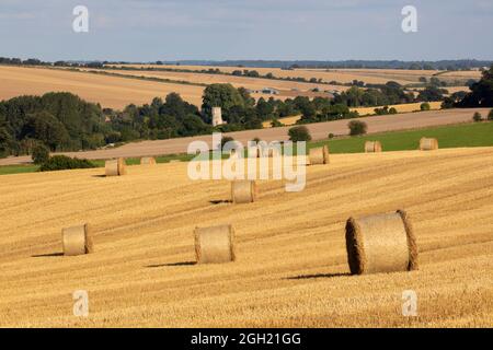 Runde Strohballen im Weizenfeld entlang des Lambourn Valley, Great Shefford, West-berkshire, England, Vereinigtes Königreich, Europa Stockfoto