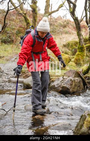 Asiatische indische Wandererin in wasserdichter Kleidung, Wandern im Gwydyr Forest, Snowdonia, Wales, Großbritannien Stockfoto