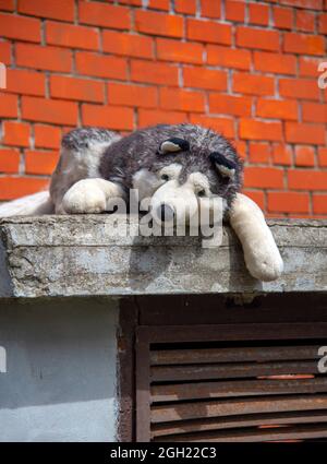 Ein riesiger Spielzeughund liegt auf der Straße an einer Ziegelmauer. Ein verlassenes Stofftier. Stockfoto