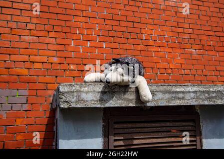 Ein riesiger Spielzeughund liegt auf der Straße an einer Ziegelmauer. Ein verlassenes Stofftier. Stockfoto