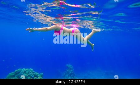 Ein junges, schönes Mädchen mit einer schönen Figur schwimmt im Roten Meer und schnorchelt Stockfoto